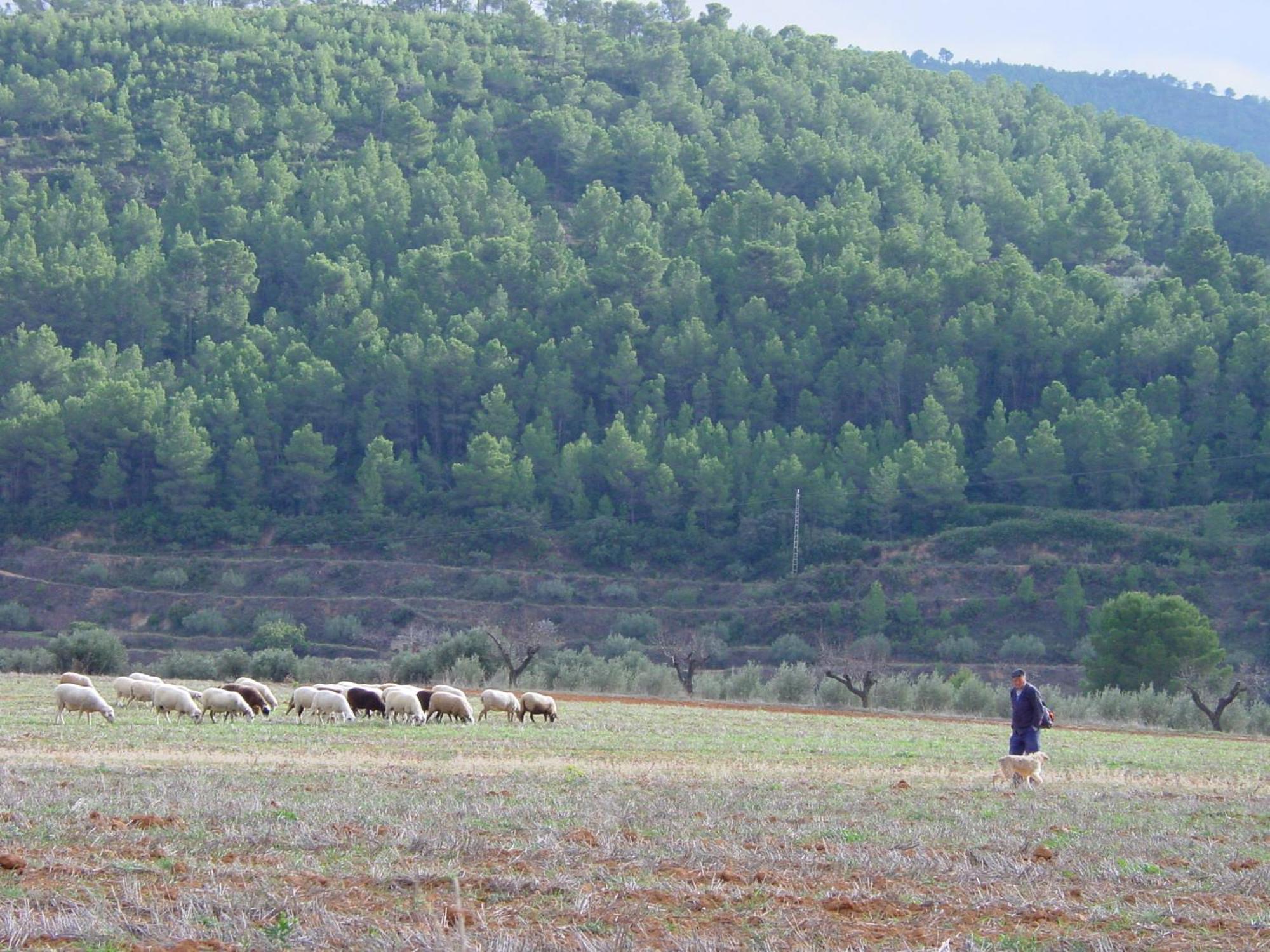La Bodega Enoturismo Rural Mogente ภายนอก รูปภาพ